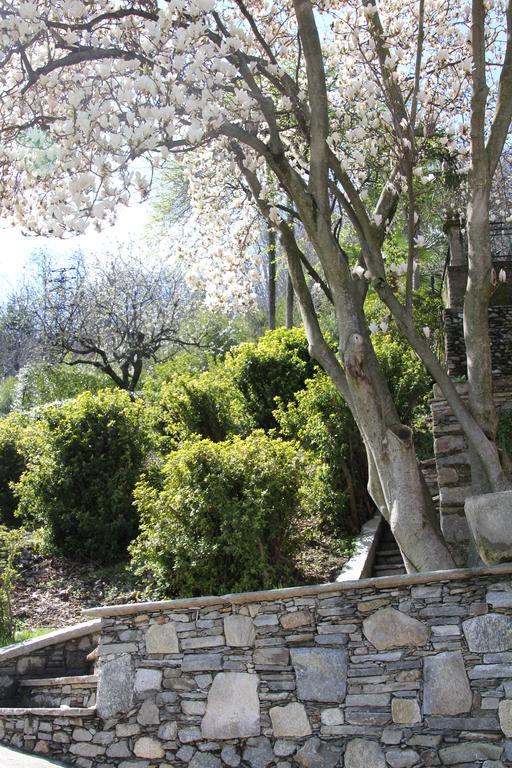Bed and Breakfast La Ciliegia Bianca Belgirate Exterior foto