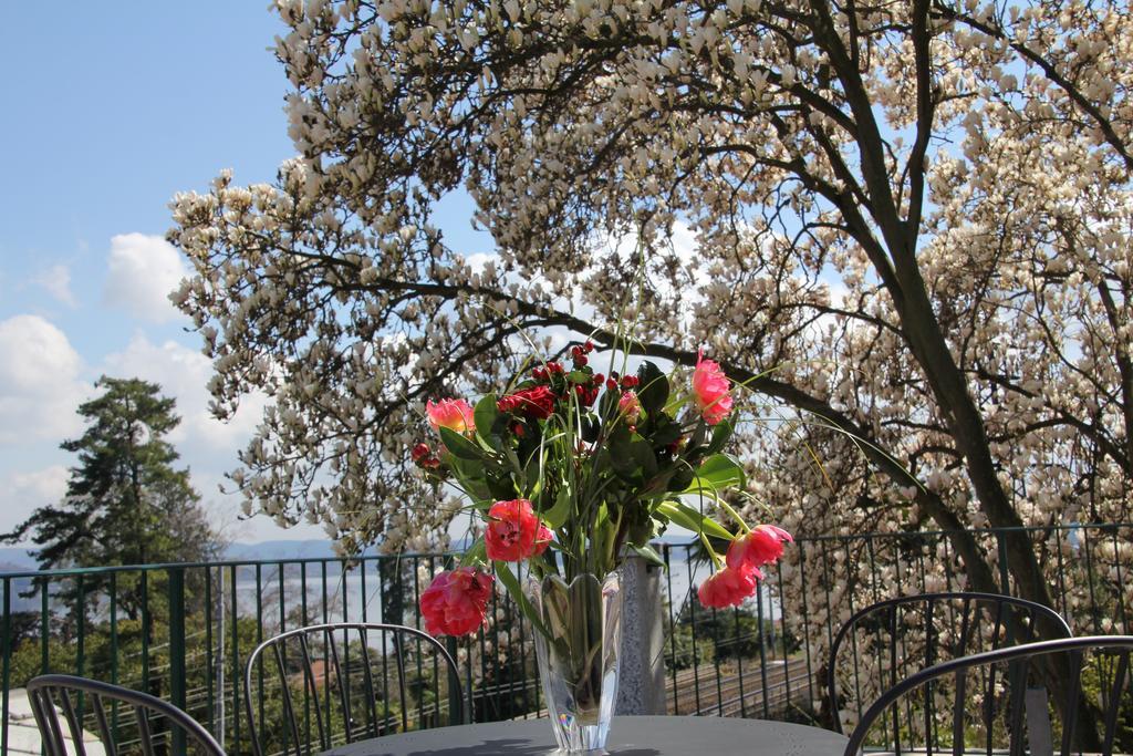 Bed and Breakfast La Ciliegia Bianca Belgirate Exterior foto